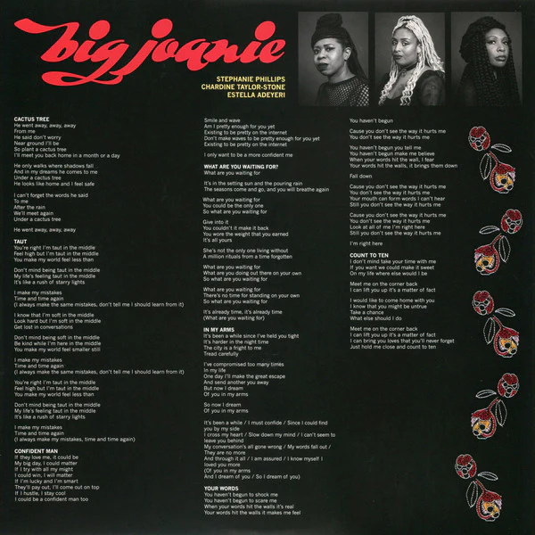 Big Joanie - Back Home (Vinyl) - Image 5