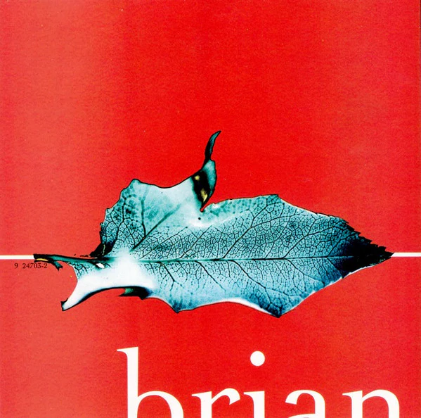 Brian Wilson - Imagination (CD) - Image 4
