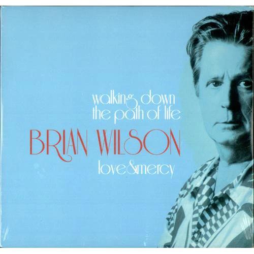 Brian Wilson - Walking Down The Path Of Life / Love & Mercy (CD)