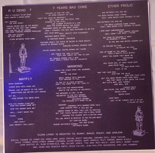 DANA  - Clean Living (Vinyl) - Image 4