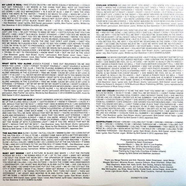 Divine Fits - A Thing Called Divine Fits (Vinyl) - Image 3