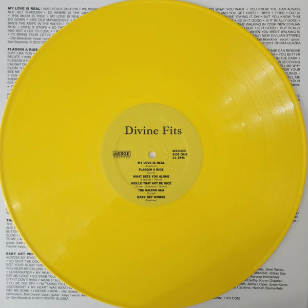 Divine Fits - A Thing Called Divine Fits (Vinyl) - Image 4