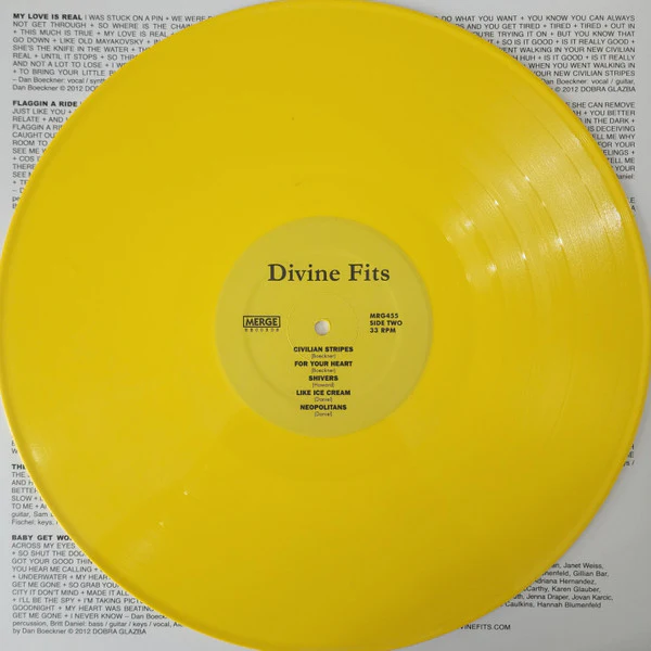 Divine Fits - A Thing Called Divine Fits (Vinyl) - Image 5