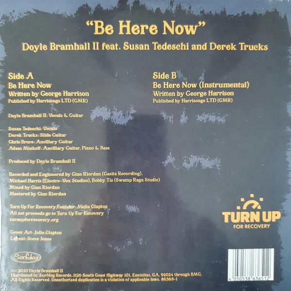 Doyle Bramhall II Feat Susan Tedeschi & Derek Trucks - Be Here Now (Vinyl) - Image 2