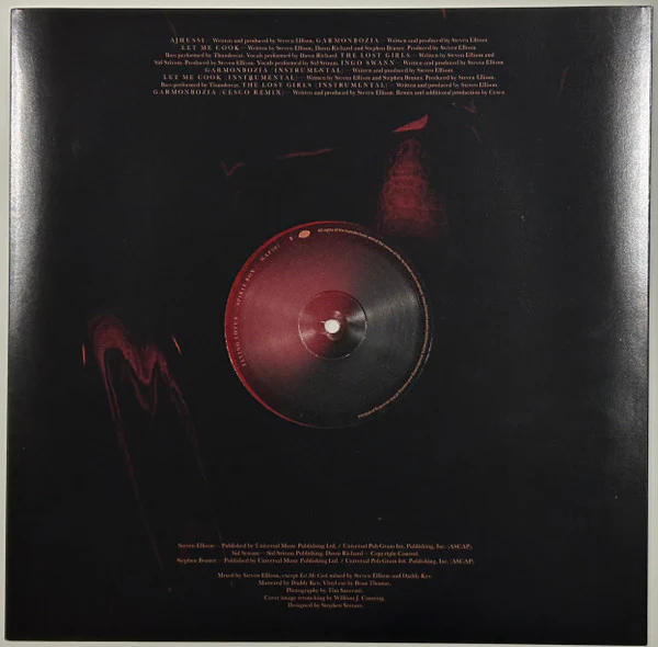 Flying Lotus - Spirit Box (Vinyl) - Image 5