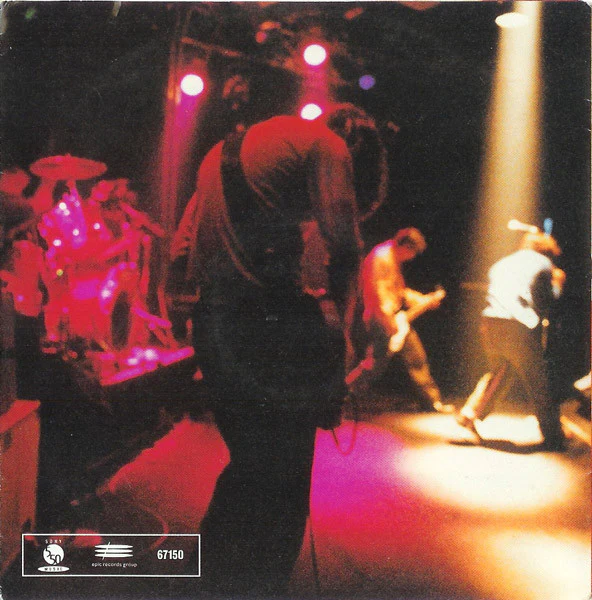 For Squirrels - Example (CD) - Image 4