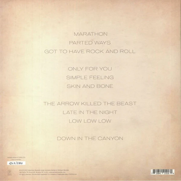 Heartless Bastards - Arrow (Vinyl) - Image 2