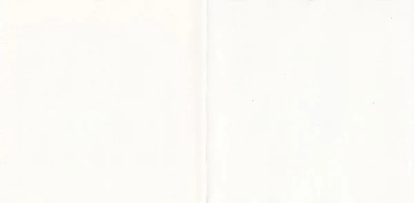 Ian Gomm - The Village Voice (CD) - Image 5