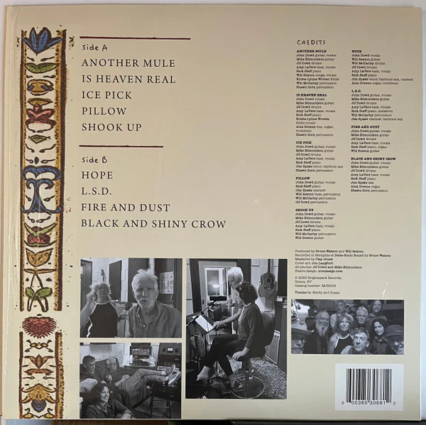 Johnny Dowd - Is Heaven Real? How Should I Know (Vinyl) - Image 2
