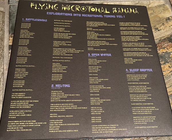 King Gizzard And The Lizard Wizard - Flying Microtonal Banana (Explorations Into Microtonal Tuning Volume 1) (LP, Album, RE, Luc) - Image 3