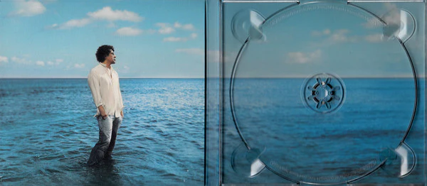 Laurent Voulzy - La Septième Vague (CD) - Image 4