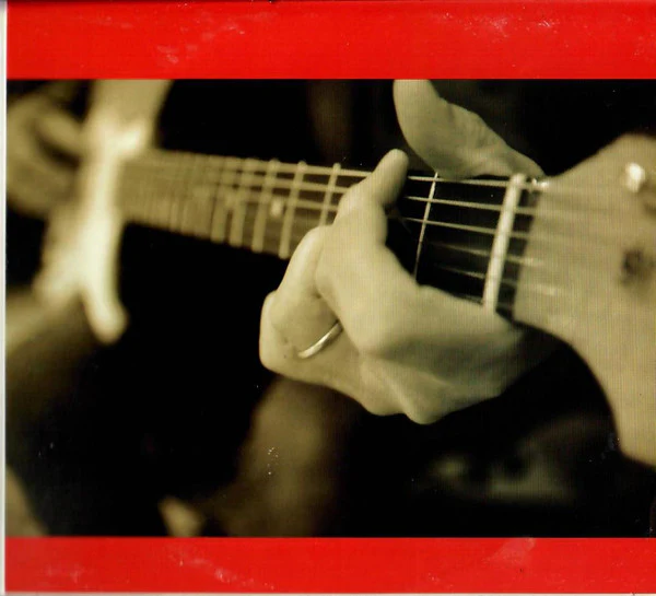 Lindsey Buckingham - Gift Of Screws (CD) - Image 5