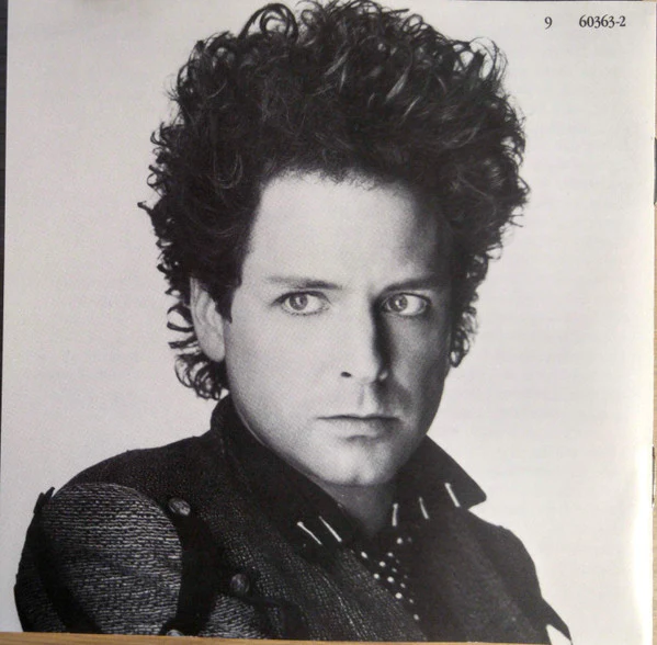 Lindsey Buckingham - Go Insane (CD) - Image 4