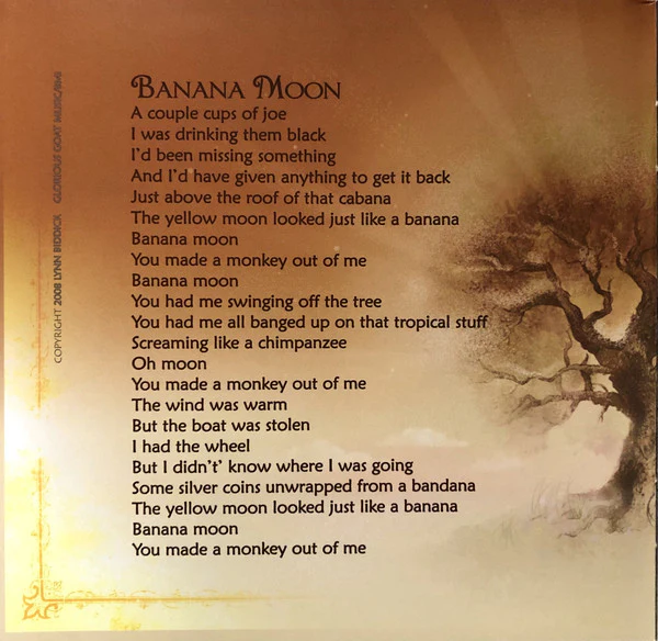 Lynn Biddick - Ghost In The Bed (CD) - Image 4