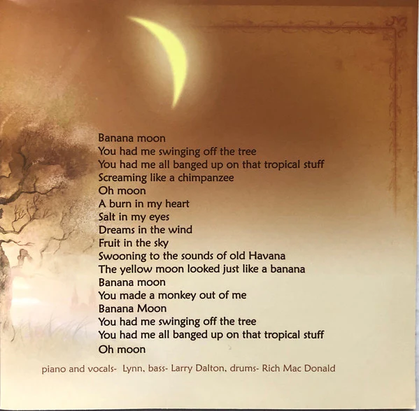 Lynn Biddick - Ghost In The Bed (CD) - Image 5