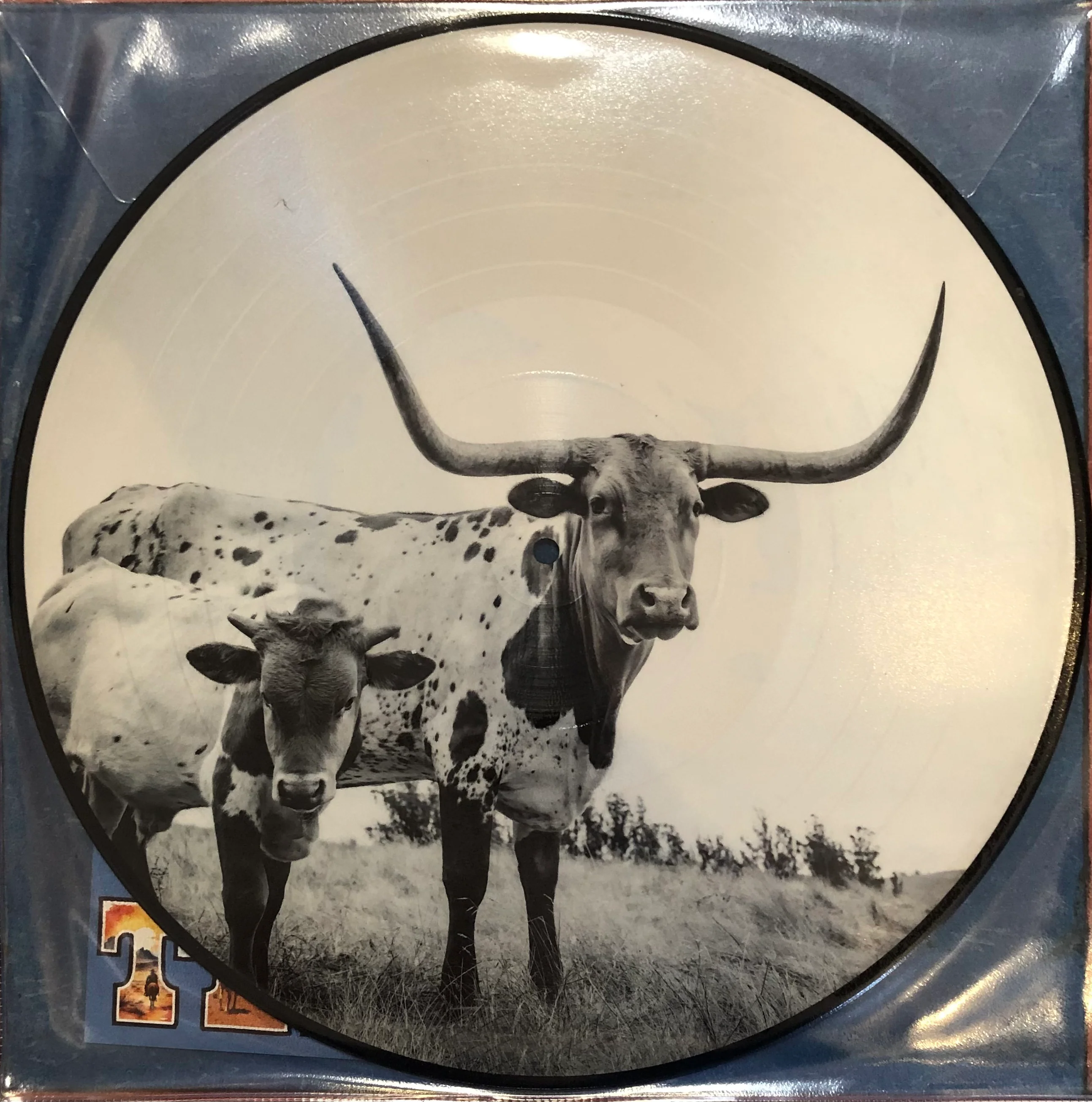 Mike Flanigin - West Texas Blues PICTURE DISC (LP) - Image 2