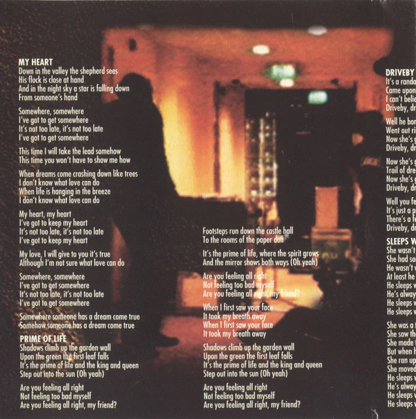 Neil Young And Crazy Horse - Sleeps With Angels (CD) - Image 5
