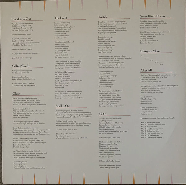 Ohmme  - Fantasize Your Ghost (Vinyl) - Image 3