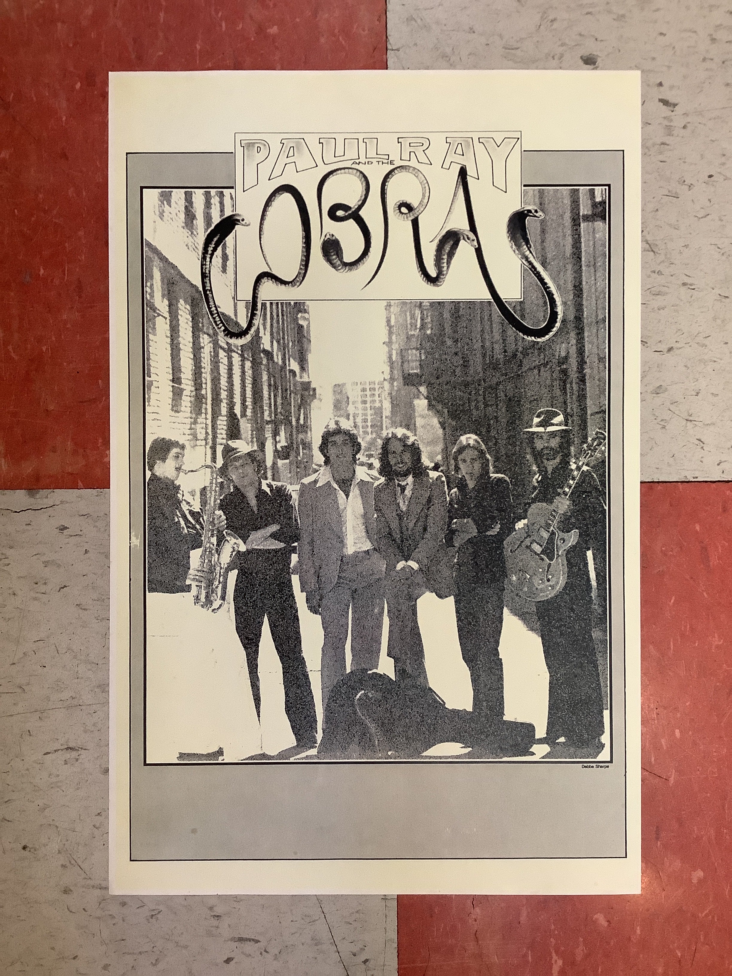Paul Ray and the Cobras (Poster)