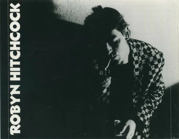 Robyn Hitchcock - Invisible History (CD) - Image 5