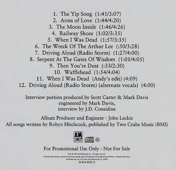 Robyn Hitchcock & The Egyptians - Spectre - Robyn Hitchcock Explains The Songs On "Respect" (CD) - Image 2