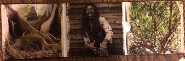 Rocky Dawuni - Branches Of The Same Tree (CD) - Image 3