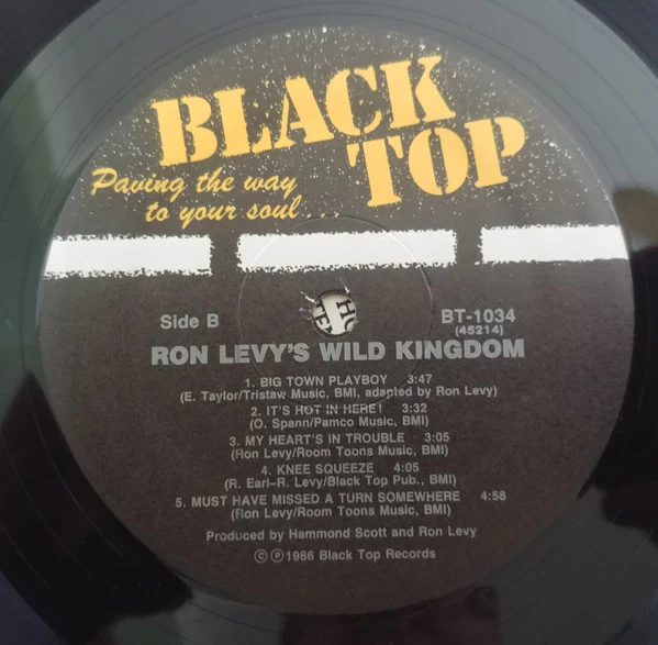 Ron Levy's Wild Kingdom Featuring Ronnie Earl, Kim Wilson, Wayne Bennett , Jimmie Vaughan - Ron Levy's Wild Kingdom Featuring Ronnie Earl, Kim Wilson, Wayne Bennett,  Jimmie Vaughan (Vinyl) - Image 4