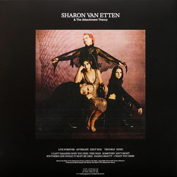 Sharon Van Etten & The Attachment Theory - Sharon Van Etten & The Attachment Theory (Vinyl) - Image 2