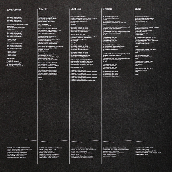 Sharon Van Etten & The Attachment Theory - Sharon Van Etten & The Attachment Theory (Vinyl) - Image 5
