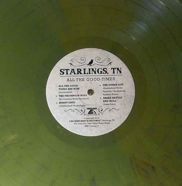 Starlings, TN - All The Good Times (Vinyl) - Image 4
