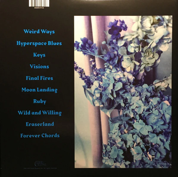 Strand Of Oaks - Eraserland (Vinyl) - Image 4