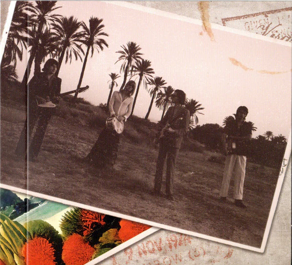 Temples  - Exotico (CD) - Image 5
