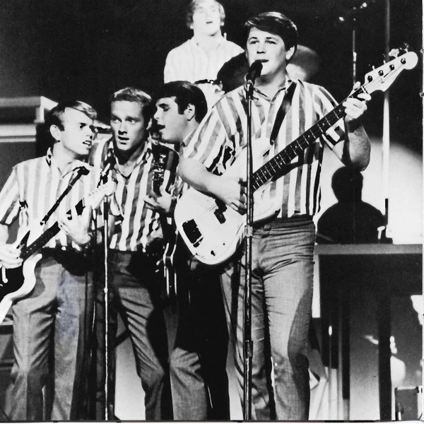 The Beach Boys - The Beach Boys: 1962-1967 (CD) - Image 3