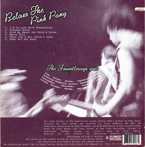 The Fauntleroys - Below The Pink Pony (CD) - Image 2