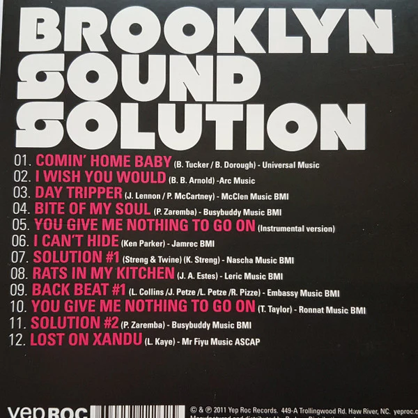 The Fleshtones & Lenny Kaye - Brooklyn Sound Solution (CD) - Image 3