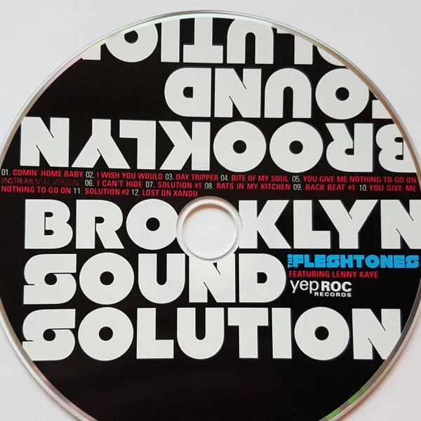 The Fleshtones & Lenny Kaye - Brooklyn Sound Solution (CD) - Image 4