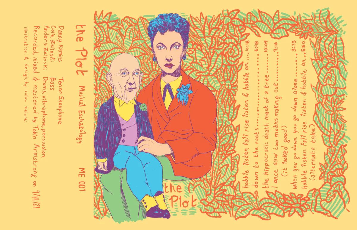 The Plot - The Plot (Cass)