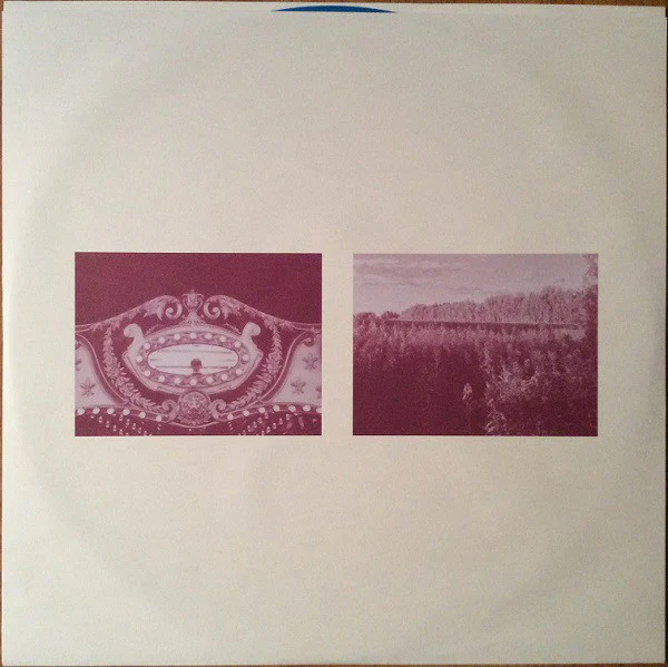 Tim Darcy - Saturday Night (Vinyl) - Image 5