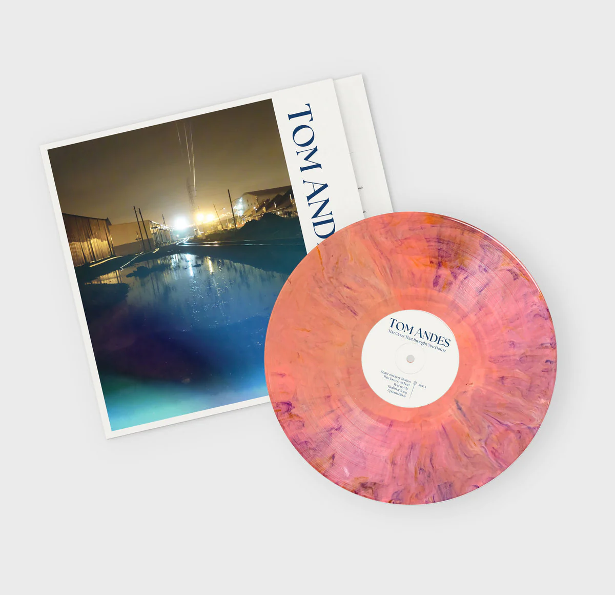 Tom Andes - The Ones That Brought You Home (LP, Album) - Image 3
