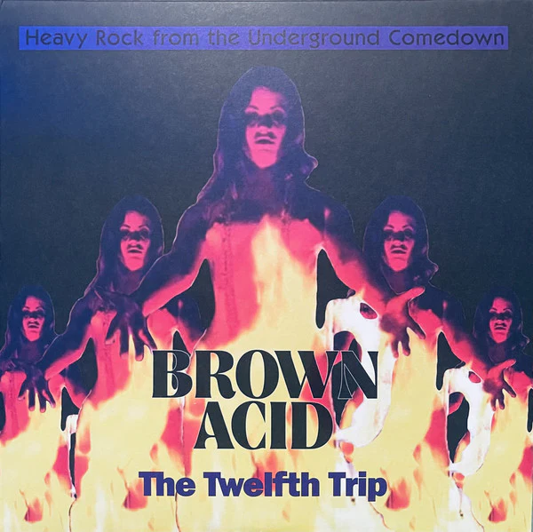 Various - Brown Acid: The Twelfth Trip (Heavy Rock From The Underground Comedown) (Vinyl)