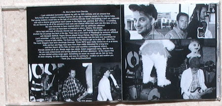 Various - Everyone's Dead Before They Leave (A Tribute To The Cherubs)  (CD) - Image 4