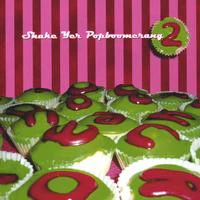 Various - Shake Yer Popboomerang 2 (CD)