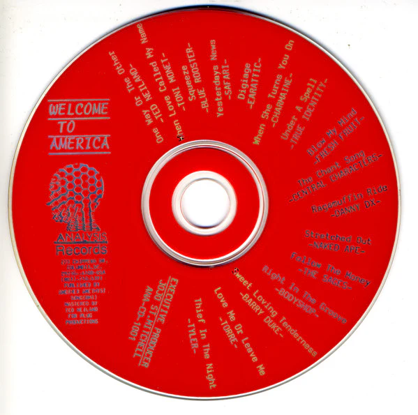 Various - Welcome To America (CD) - Image 2